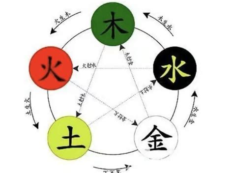 姍 五行|珊字的五行属性